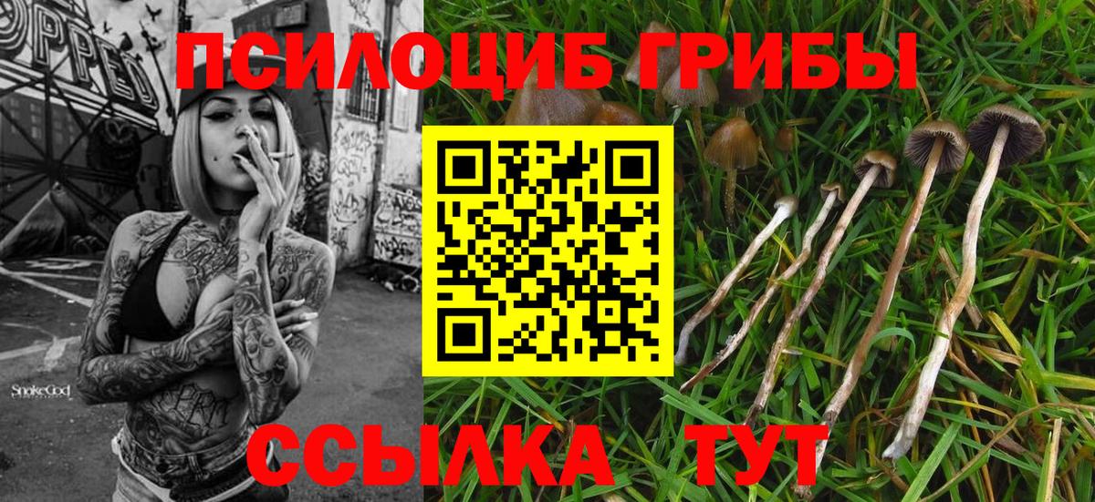 Псилоцибиновые грибы MAGIC MUSHROOMS Мурманск