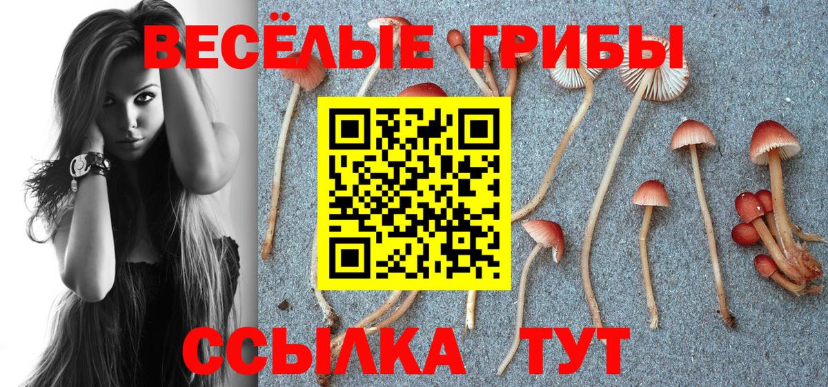 ГАШ  Вход с VPN  ЭКСТАЗИ  МЕФ кристаллы  Мурманск  КОКАИН  Марихуана 